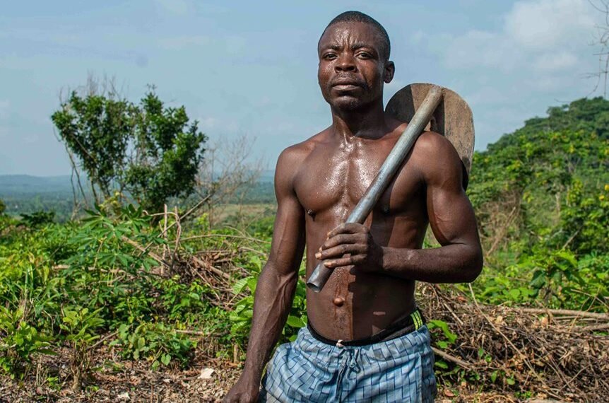 Strengthen Your Growth 222643223 Digital Tools